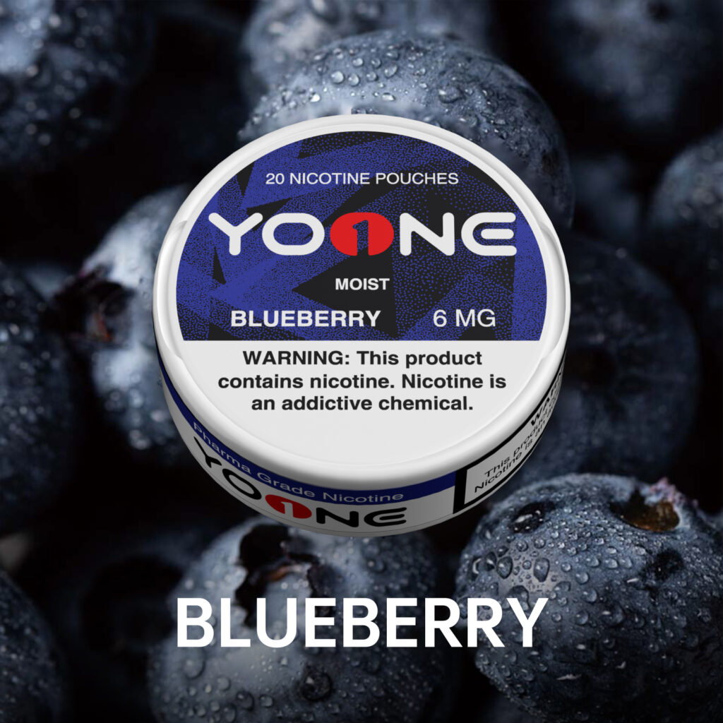 YOONE Blueberry 6MG(Moisture)